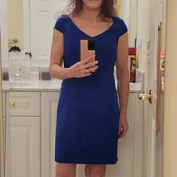 NWT V-Neck Dress by The Limited, Size 4P - Picture 8 of 8